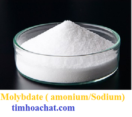 Cần bán Amonium Molybdate | Phụ gia phân bón Molybden