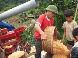 Địa chỉ bán buôn bán lẻ máy tách hạt ngô giá rẻ nhất