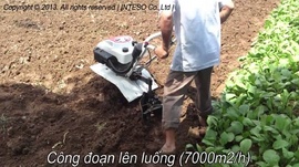 Máy làm đất đa năng Trâu vàng IN-1WG4 giá rẻ cho bà con