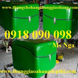 phân phối thùng giao hàng sau xe máy giá rẻ nhất tp hcm