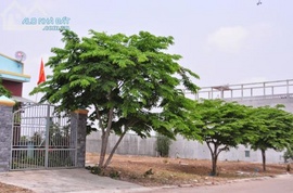 nhượng 600m2 lô l47 mặt tiền đường 25m khu mỹ phước, chính chủ 0909. 303. 367