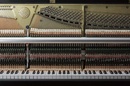 Tp. Hồ Chí Minh: Bán đàn Piano Kawai K-300 uy tín, chất lượng CL1661937P2