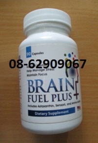 Brain Fuel Plus-Giúp Tăng trí não tốt, Thải độc tốt, Phòng ngừa Tai biến tốt