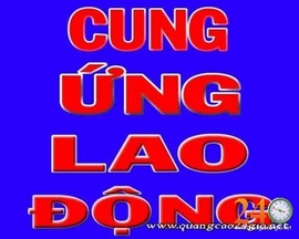 Dịch Vụ Cung Ứng Lao Động Minh Tâm