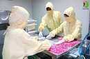 Tp. Hà Nội: Sản xuất thực phẩm chức năng chuyên nghiệp tại nhà máy hiện đại, giá RẺ nhất CL1537034