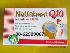 Natto best Q10-Tan máu đông, tăng trí não, tuần hoàn tốt