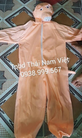 Cho thuê thú hở mặt tại Tân Phú tphcm