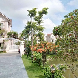 Vinhomes Riverside mua 1được 3