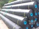 Tp. Hà Nội: Màng chống thấm HDPE - Vật tư Thành Phát CL1694495P8