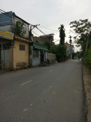 Tp. Hà Nội: Chính chủ cần tiền bán gấp đất mặt đường thôn Hoàng Trung, xã Hồng Dương, huyện T CL1691717P7