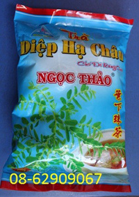 Bán Trà Diệp Hạ Châu, -*- Giúp hạ men gan, ưa dùng hiện nay