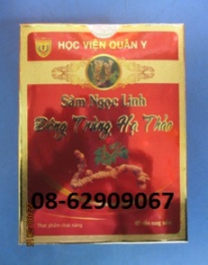 Đông Trùng Hạ Thảo, SÂM-Tăng sinh lý, sức đề kháng, cho sức khỏe tốt