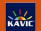 [1] Kavic Paints