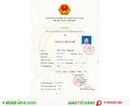 Tp. Hà Nội: Đào tạo cấp chứng chỉ lái xe nâng trên toàn quốc RSCL1677823