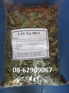 Cây Xạ Đen HB- ổn huyết áp tốt, Phòng ,chữa bệnh Ung thư, giá rẻ