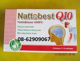 Có bán Natto best Q10-=- Làm Tan máu đông, tăng trí não, tuần hoàn tốt