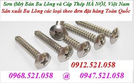 Mr.Sơn 0912.521.058 bán vít pake Inox, vít gỗ Inox 1335 Giải Phóng-Ha Noi