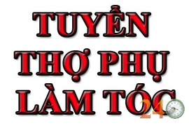 Tuyển Thợ Làm Tóc Có Tay Nghề Quận 8