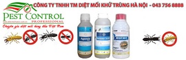 Diệt mối tận gốc tại Hà Nội 0437568888