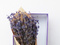 [4] Bán sỉ và lẻ Hoa lavender khô nhập khẩu tại TPHCM giá rẻ