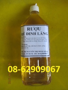 Rễ RƯỢU Đinh Lăng-*=*- Bồi bổ cơ thể, tăng sức đề kháng tốt