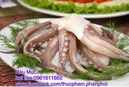 Tp. Hà Nội: Cung cấp số lượng lớn Râu Mực cho các nhà hàng, quán ăn, nhà phân phối, .. . CL1070593P6