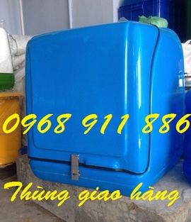 Thùng gắn sau xe máy, thùng giao thức ăn nhanh, thùng giữ lạnh