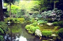 Phong cách vườn Nhật Bản NEWS1084