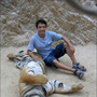 [4] Đền Hổ Thái Lan - điểm du lịch thú vị