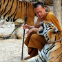[7] Đền Hổ Thái Lan - điểm du lịch thú vị