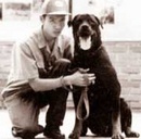 "Lò" luyện chó nghiệp vụ dân sự đầu tiên ở Việt Nam NEWS3245
