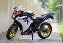 Xế độ Honda CBR250R ở Sài Gòn NEWS8826