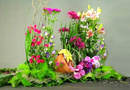 Tự tạo vườn hoa mini trang trí nhà NEWS11848