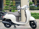 'Tí điệu' Honda Giorno 2013 ở Việt Nam NEWS13318