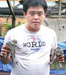 Bỏ “chuột” để nuôi ếch NEWS14210