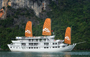 Paradise Cruises Hạ Long nhận giải thưởng thường niên NEWS14107