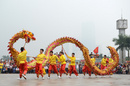 Lễ hội đường phố Hà Nội dịp Tết dương lịch RSN15797