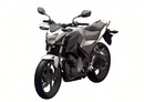 Honda CB300F - nakedbike hạng nhỏ sắp xuất hiện NCAT29_58_199_206