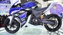 Yamaha R25 concept ra mắt tại Ấn Độ NEWS18893