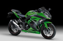 Kawasaki Ninja 300 đặc biệt phong cách đường đua NEWS21146