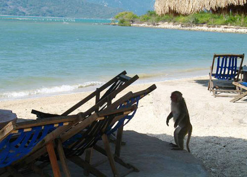 Tới Nha Trang lặn biển ấm mùa đông