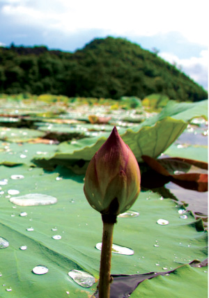 Bình yên Quan Sơn