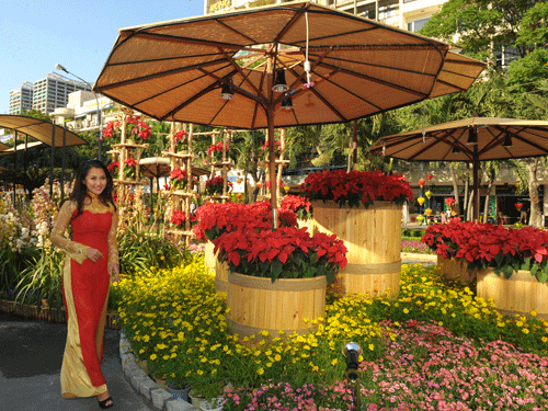 Lung linh đường hoa Nguyễn Huệ 2010