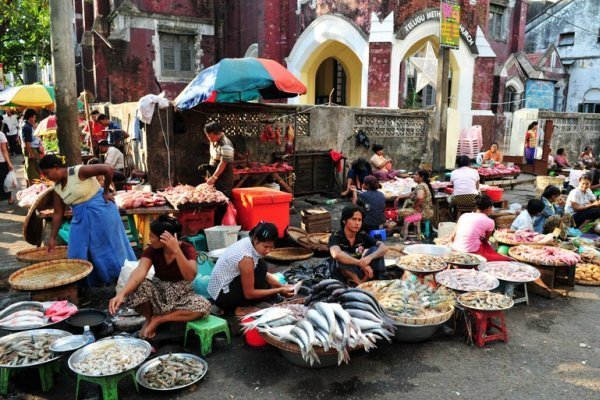 Kỳ 2: Thoát một cú lừa ở Yangon