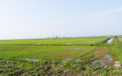 Nét thanh bình bên dòng sông Kiến Giang