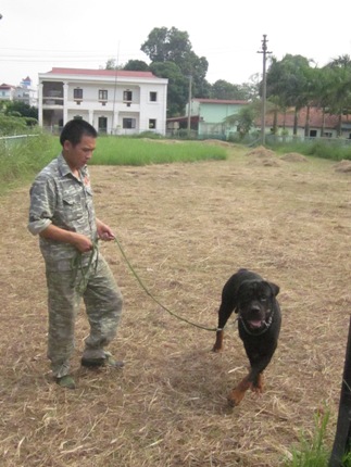 "Cháy" chó nghiệp vụ sau vụ thảm sát tiệm vàng