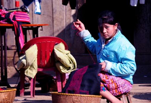 Mộc Châu, không phải mùa hoa cải...