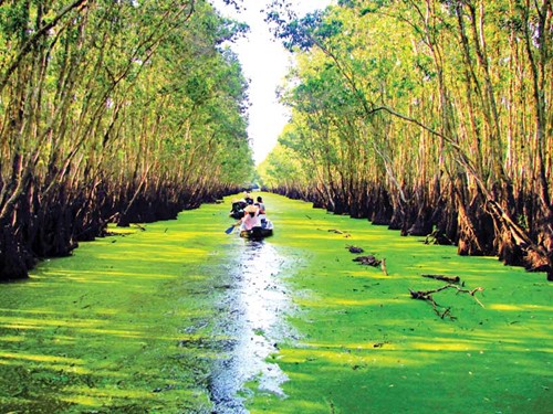 Nghe đàn trên sông