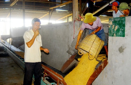 Nông dân học hết lớp 9 trở thành “vua lò sấy” ở ĐBSCL