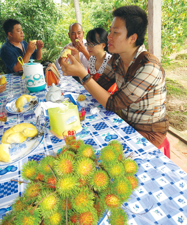 Về miệt vườn ăn trái, tắm sông